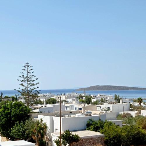 Anixis Studios Aliki Paros 3