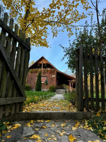 . Cabana Oana 5-bedrooms chalet