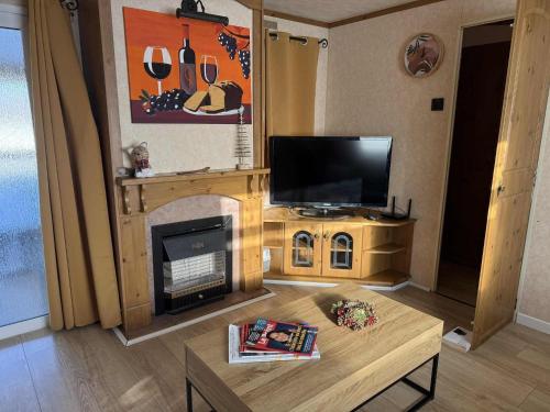 Domaine Mobile Home - Location saisonnière - Lesparre-Médoc