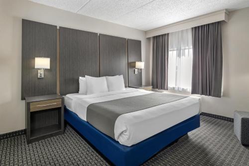 1 king bed