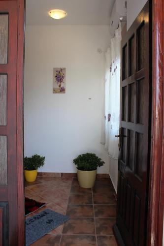 Apartment MIS Floura