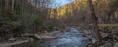 Mama Bear Creek Bridge