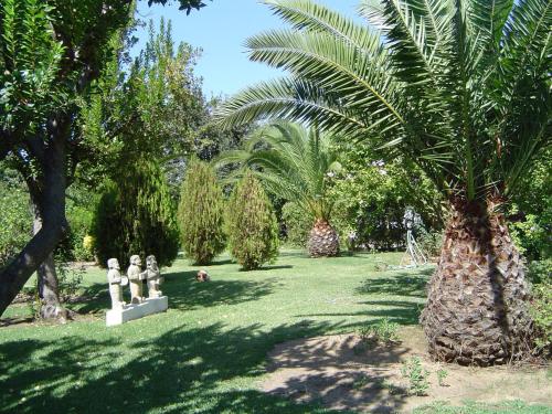 Quinta dos Oliveiras - image 4