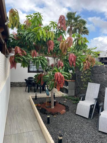 Apartamento Casa Leo