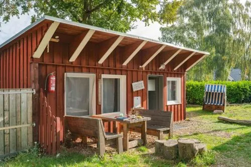 Sturmmöwe in Ückeritz, Deutschland