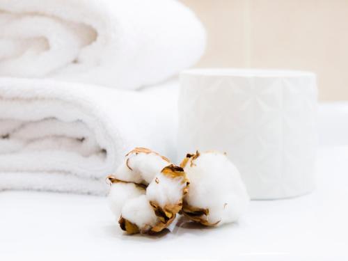 Hotel Condes de Haro - image 13