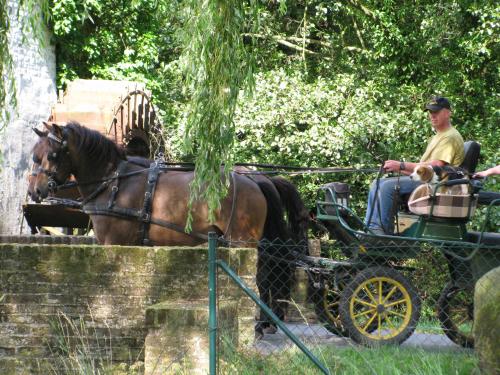 Vakantieverblijf Volmolen B&B