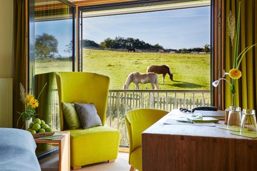 Steinbergs Wildewiese NaturHotel in Wildewiese, Deutschland