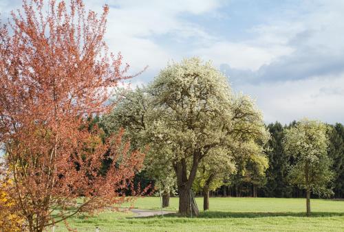 Willi's Bauernhof - image 3