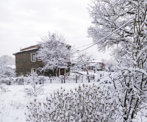  Charming House in Decollatura with Jacuzzi in Decollatura
