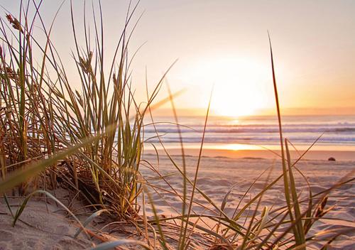 Romantic Cosy Cottage Beach Getaway for Couples 3