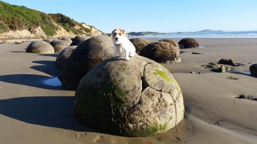 . Moeraki Boulders Motel