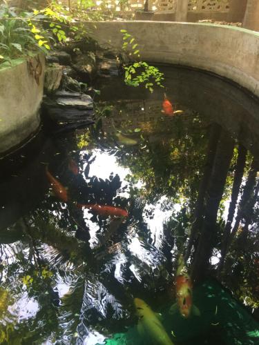 โชคดี เกสต์เฮาส์ 2