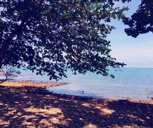 Kohchang Privilege thumbnail 5