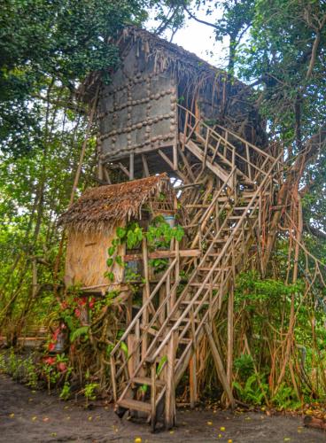 . Tree Home Adventure