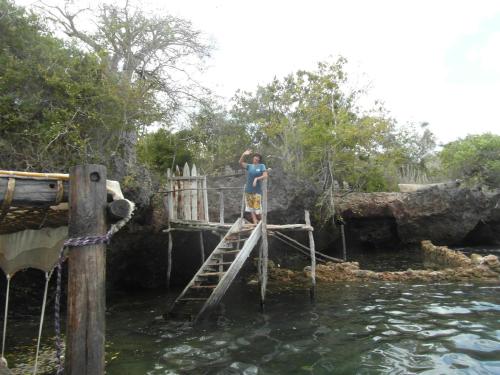 Umgebung, Blue Monkey Beach Cottages in Ukunda