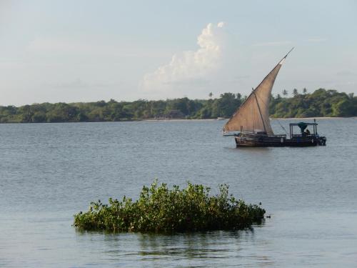 Sport und Aktivitäten, Blue Monkey Beach Cottages in Ukunda