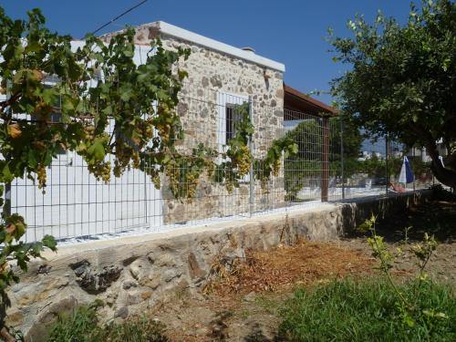 Paraschos Studios Kos - image 8