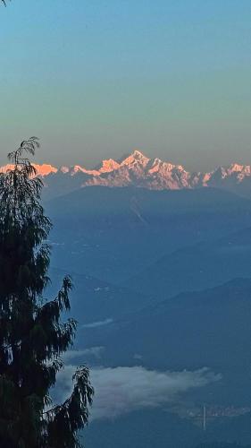 Alpine's Nest Homestay, Ramdhura