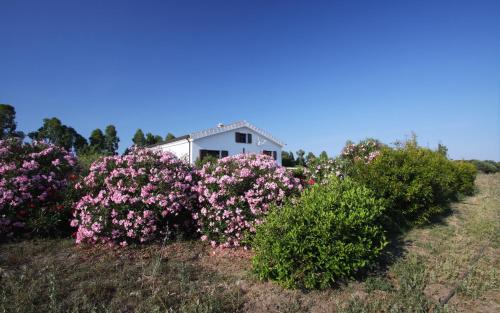 Casa Nerelie'S 4