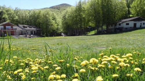 Chalet Vecchio Rifugio - Monte Amiata in Castel del Piano