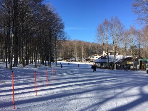 Chalet Vecchio Rifugio - Monte Amiata - image 13
