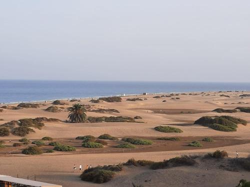 Playa del Inglés Céntrico Los Molinos 135 2