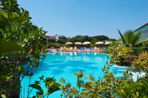 Hotel San Francesco. - 수영장