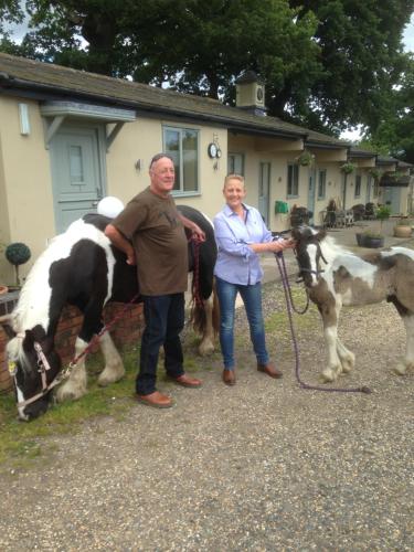 The Stables - Deer Park Farm - image 12