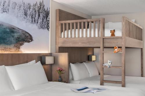 1 queen bed, 1 bunk bed, 1 sofa bed