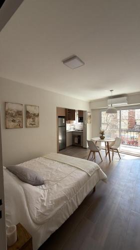 Moderno departamento recoleta
