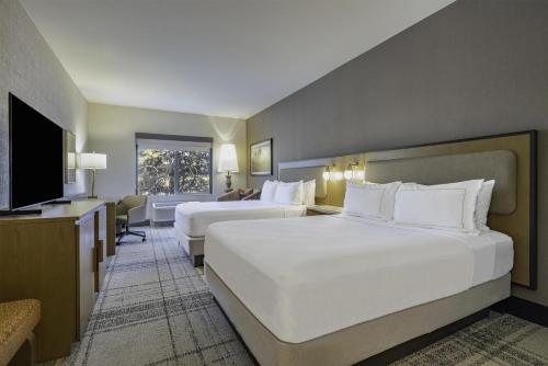 2 queen beds, 1 sofa bed