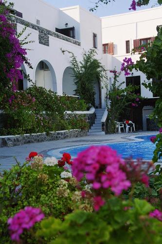 New Haroula - image 6