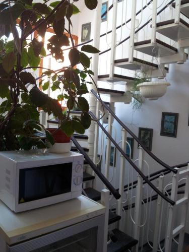 午睡旅館 (Pension Siesta) in 特萊邦