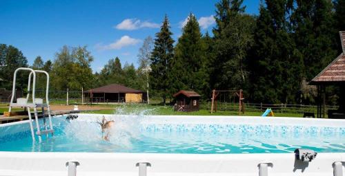 Kilátás, Kase Holiday Center in Saaremaa