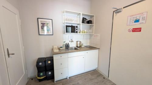 Flat in Zizkov with free underground parking -501- 2