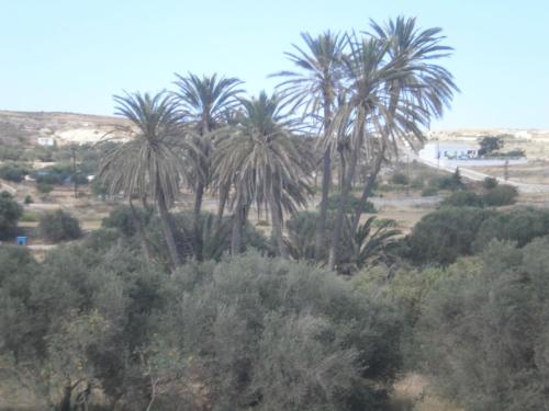 Hotel Delfini – Adamantas