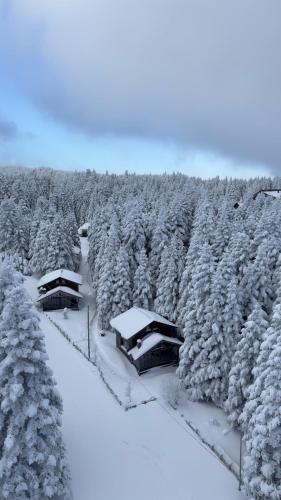 Uludag Orman Koskleri