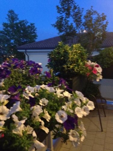 Accommodation in Anzola dell'Emilia