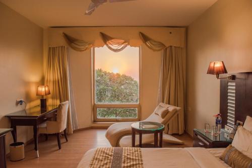 The Red Maple Mashal