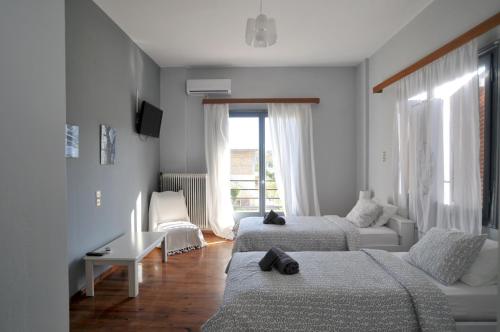 Mellia in อาร์เคีย โอลิมเปีย