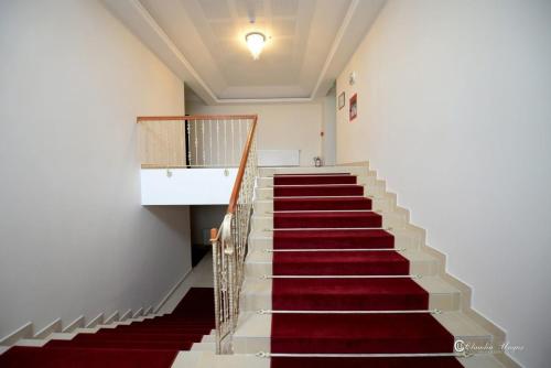 Hotel Dallas 4