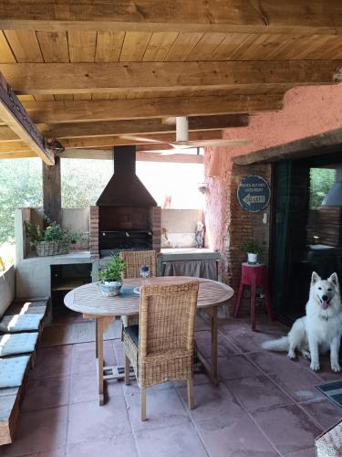 Mas Del Llop Blanc - Dog friendly Hostal Rural - B&B 4