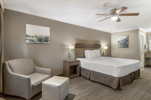 1 king bed