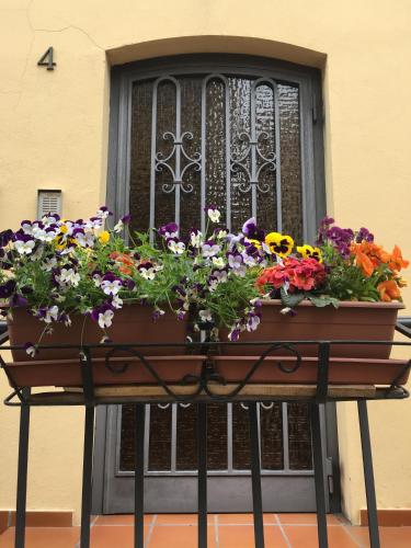Bejárat, Casa Zaira in Valsamoggia
