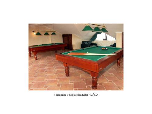 Apartmany Tilia - image 9