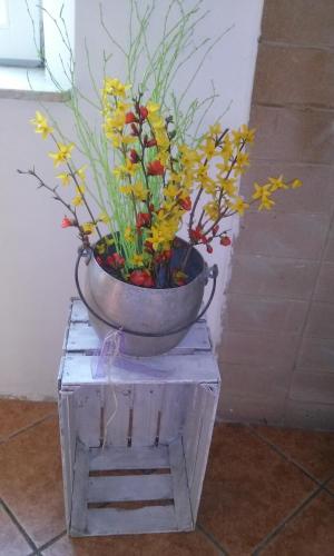  Agriturismo Bosco Fiorito in Muggia