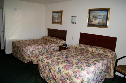 American Inn and Suites - main image