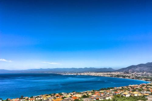 Belvedere Hotel - image 12