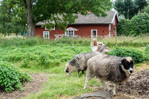 Mats Persgarden B&B